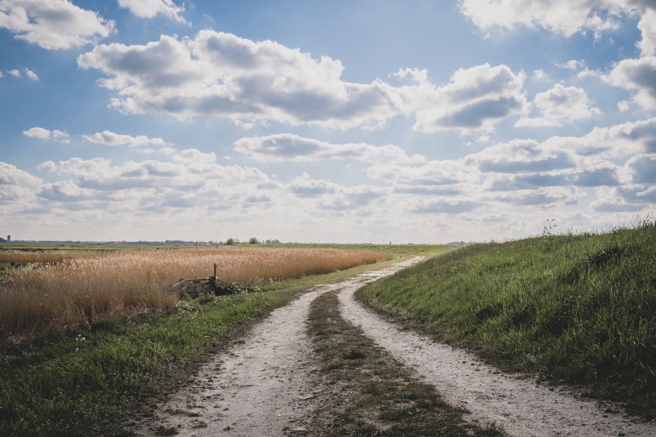 A quiet trail at dusk: a reminder to keep going when things feel bleak